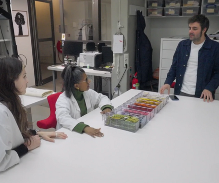 Geheimen van het Museum (Kunstmuseum Den Haag)