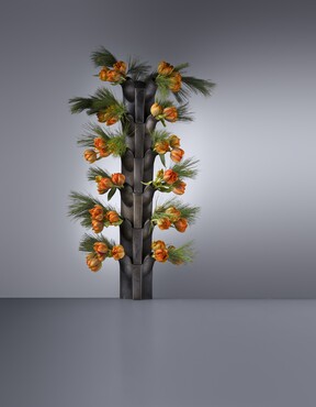 Foto: Erik en Petra Hesmerg