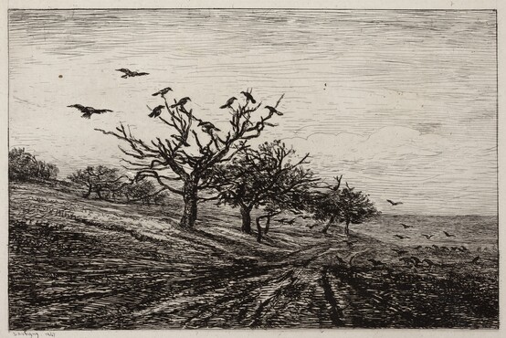 Charles-Francois Daubigny, Tree with Crows, 1867, etching, ink on Chine-collé, 28.8 cm x 37.3 cm, Gemeentemuseum Den Haag