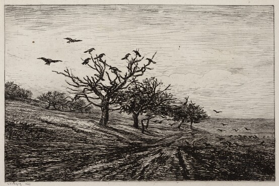 Charles-Francois Daubigny, De boom met kraaien, 1867, ets, inkt op chine collé, 28,8 cm x 37,3 cm, Gemeentemuseum Den Haag