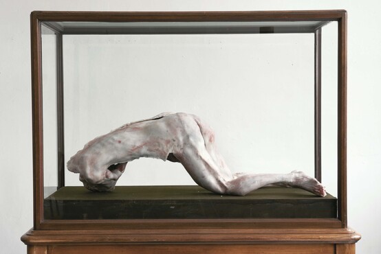 Berlinde De Bruyckere (1964), Into One – Another II To P.P.P. , 2010, was, epoxyhars, ijzer, hout en glas, 193 x 183, 86 cm, collectie Kunstmuseum Den Haag