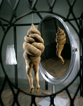 Louise Bourgeois (1911-2010), Cell XXVI, 2003
