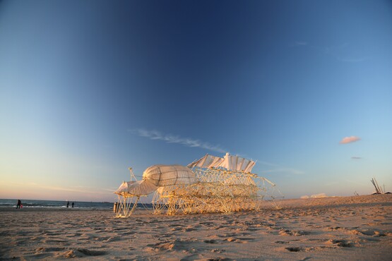 Theo Jansen, Animaris Omnia, Silent Beach (The Hague), 2019 