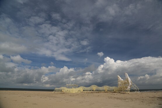 Theo Jansen, Animaris Mulus 2018 Stille strand. (Den Haag)
