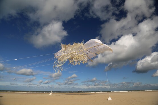 Theo Jansen, Uros Kirn Ader, 2021 Noorder strand Scheveningen 