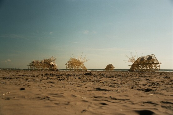 Theo Jansen, Animaris Percipiere Rectus, IJmuiden 2005. Foto: Loek van der Klis