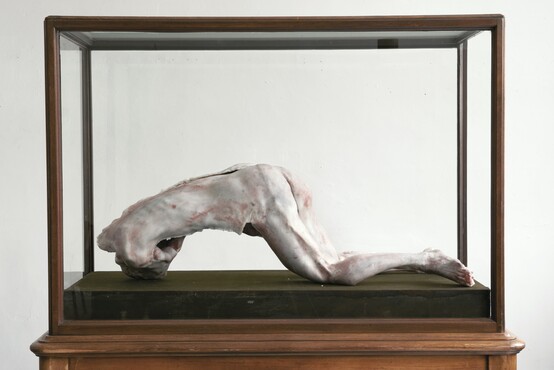 Berlinde de Bruyckere (1964) Into One-Another II To P.P.P., 2010 Was, epoxy, ijzer, hout en glas Kunstmuseum Den Haag