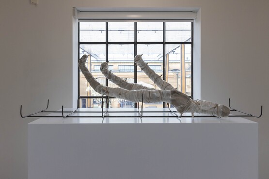 Mire Lee, Horizontal forms: clay ribs, 2022. Unfired clay, plastics, cotton, rebars